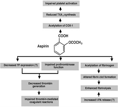 Can Aspirin Minimize Stroke Risk and New Lesion Formation in Multiple Sclerosis?